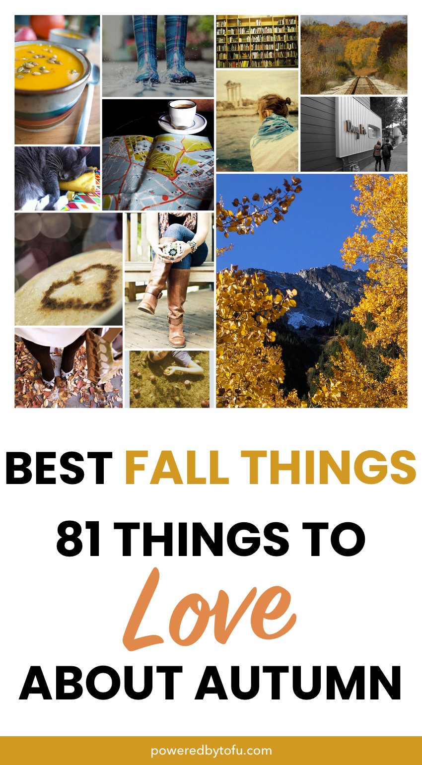 Best Things About Fall: 81 Fall Things To Love Each Year