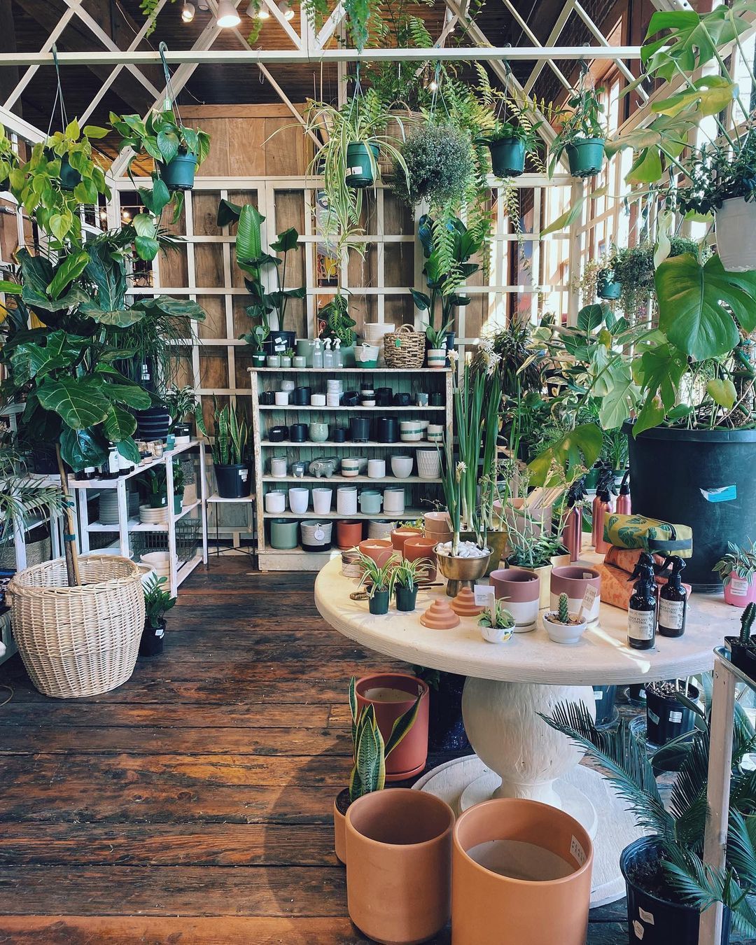 14 Lush Plant Shops In Portland For House Plants Flowers Gifts 